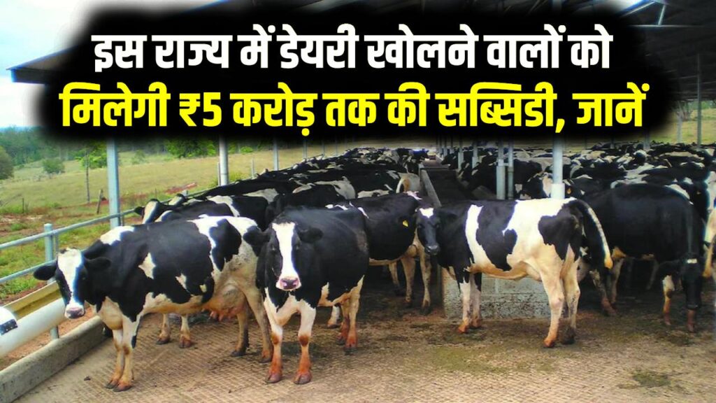 Dairy Business Subsidy: इस राज्य में डेयरी खोलने वालों को मिलेगी ₹5 करोड़ तक की सब्सिडी, जानें आवेदन प्रक्रिया 1 Dairy Business Subsidy: इस राज्य में डेयरी खोलने वालों को मिलेगी ₹5 करोड़ तक की सब्सिडी, जानें आवेदन प्रक्रिया