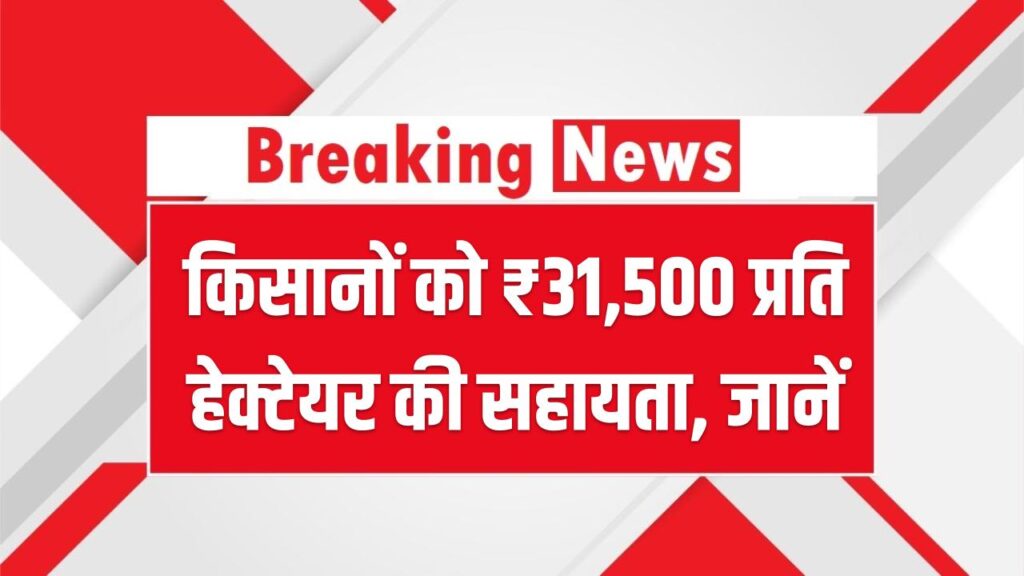PM PKVY Yojana 2025: किसानों को ₹31,500 प्रति हेक्टेयर की सहायता, जानें किन शर्तों पर मिलेगा यह लाभ