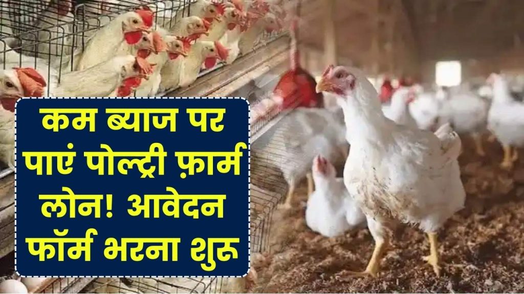 Poultry Farm Loan: मुर्गी पालन बिज़नेस के लिए Low Interest Loan! फॉर्म भरना शुरू, ऐसे करें आवेदन