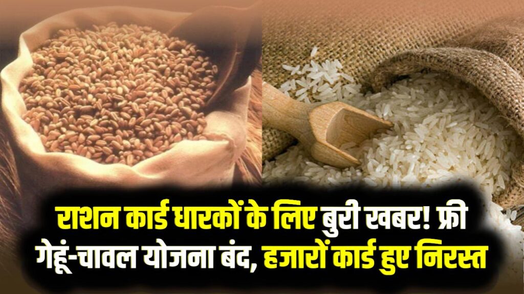 Ration Card Holders News: राशन कार्ड धारकों के लिए बुरी खबर! फ्री गेहूं-चावल योजना बंद, हजारों कार्ड हुए निरस्त