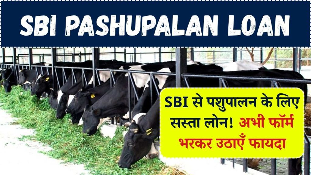 SBI Pashupalan Loan: पशुपालन के लिए SBI दे रहा सस्ता लोन! फॉर्म भरना शुरू, ऐसे उठाएं फायदा