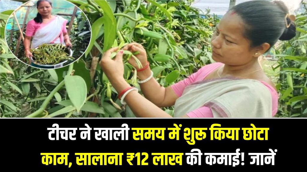 टीचर ने खाली समय में शुरू किया छोटा काम, सालाना ₹12 लाख की कमाई! आप भी ऐसे करें शुरुआत