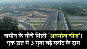जमीन के नीचे मिली ‘अनमोल चीज़’ एक रात में 3 गुना बढ़ गए प्लॉट के दाम! 4 जमीन के नीचे मिली ‘अनमोल चीज़’ एक रात में 3 गुना बढ़ गए प्लॉट के दाम!