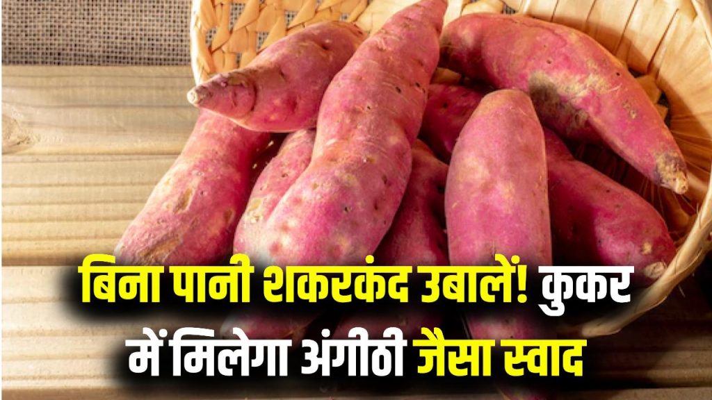 बिना पानी के ऐसे उबालें शकरकंद! कुकर में मिलेगा अंगीठी जैसा धांसू स्वाद 1 बिना पानी के ऐसे उबालें शकरकंद! कुकर में मिलेगा अंगीठी जैसा धांसू स्वाद