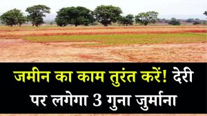 जमीन से जुड़ा यह काम तुरंत करें! देरी पर देना पड़ेगा 3 गुना ज्यादा पैसा, जानें पूरा अपडेट