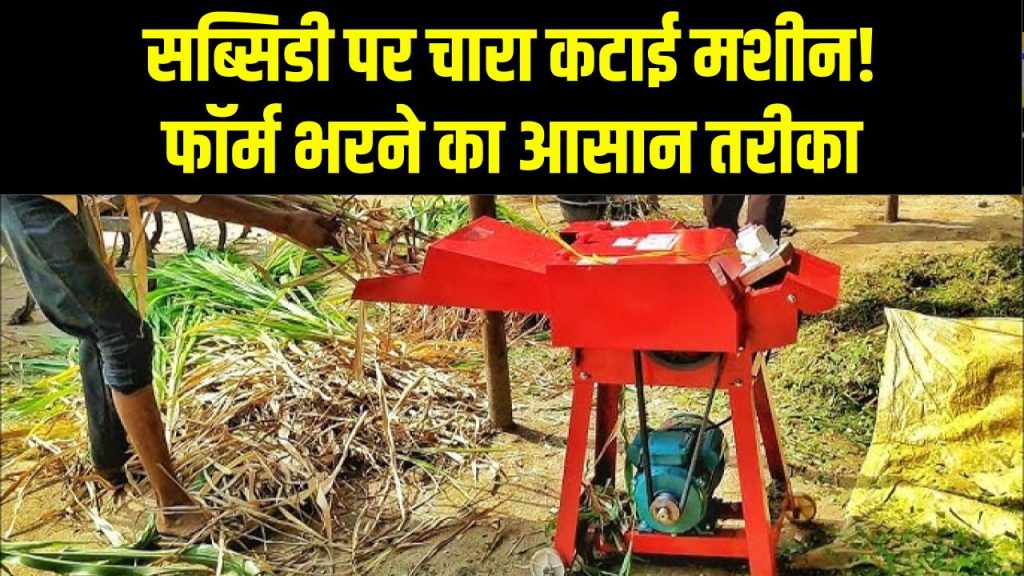 किसानों के लिए खुशखबरी! चारा कटाई मशीन पर मिल रही सरकारी सब्सिडी, फॉर्म ऐसे भरें 1 किसानों के लिए खुशखबरी! चारा कटाई मशीन पर मिल रही सरकारी सब्सिडी, फॉर्म ऐसे भरें