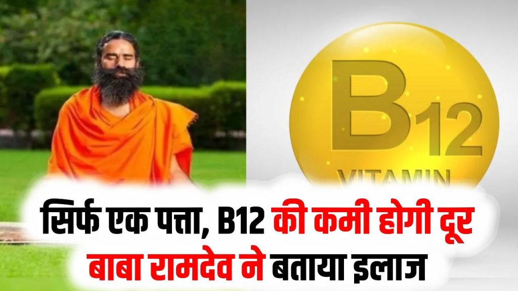 Health Secret: झुनझुनी और सुन्नपन का इलाज! बाबा रामदेव ने बताया सिर्फ एक पत्ता, B12 की कमी होगी दूर 1 Health Secret: झुनझुनी और सुन्नपन का इलाज! बाबा रामदेव ने बताया सिर्फ एक पत्ता, B12 की कमी होगी दूर