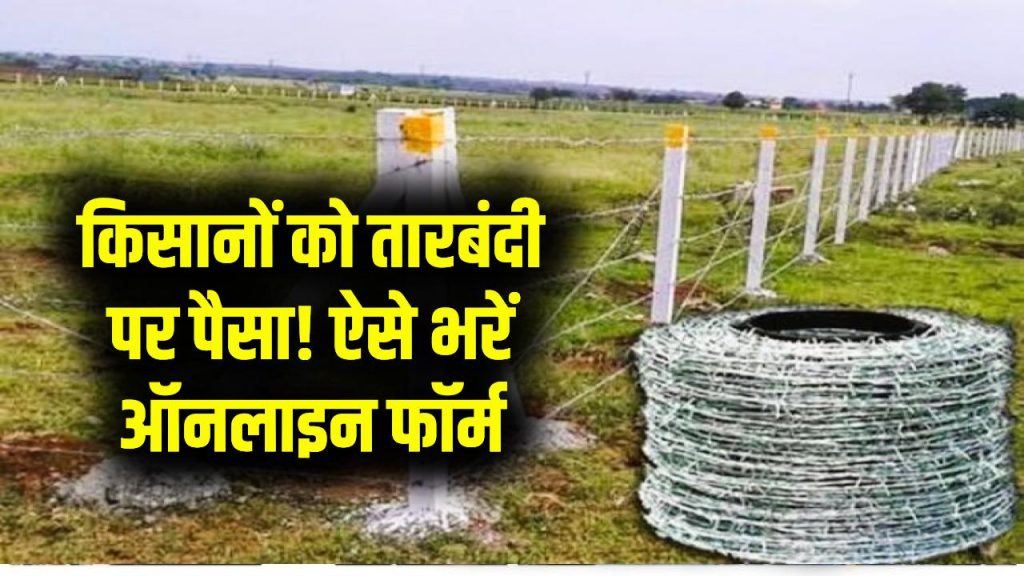 Kisan Yojana: तारबंदी का पैसा मिलेगा! ऑनलाइन फॉर्म भरें और योजना का लाभ लें