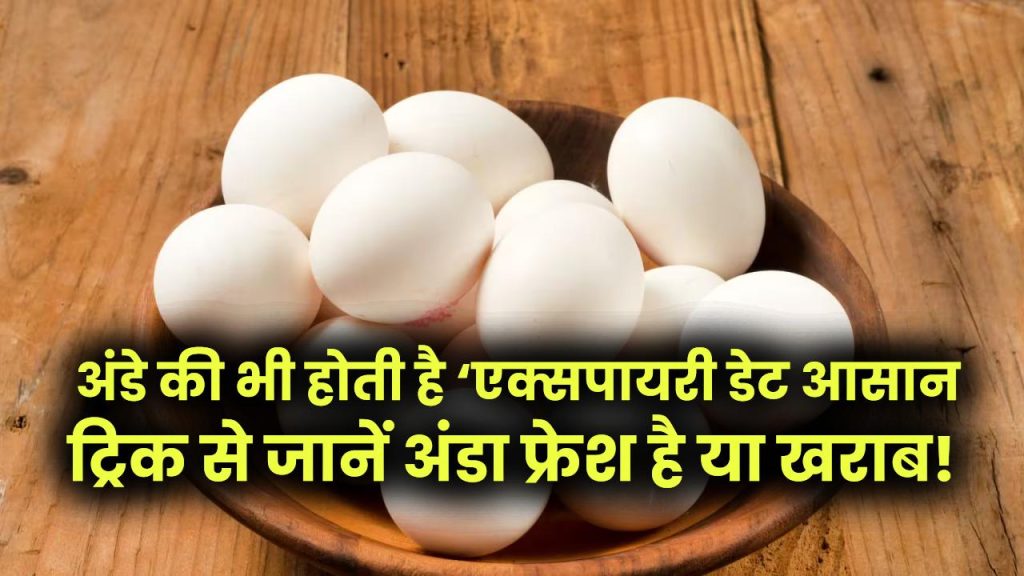 क्या आपको पता है अंडे की भी होती है ‘एक्सपायरी डेट’? इस आसान ट्रिक से जानें अंडा फ्रेश है या खराब!