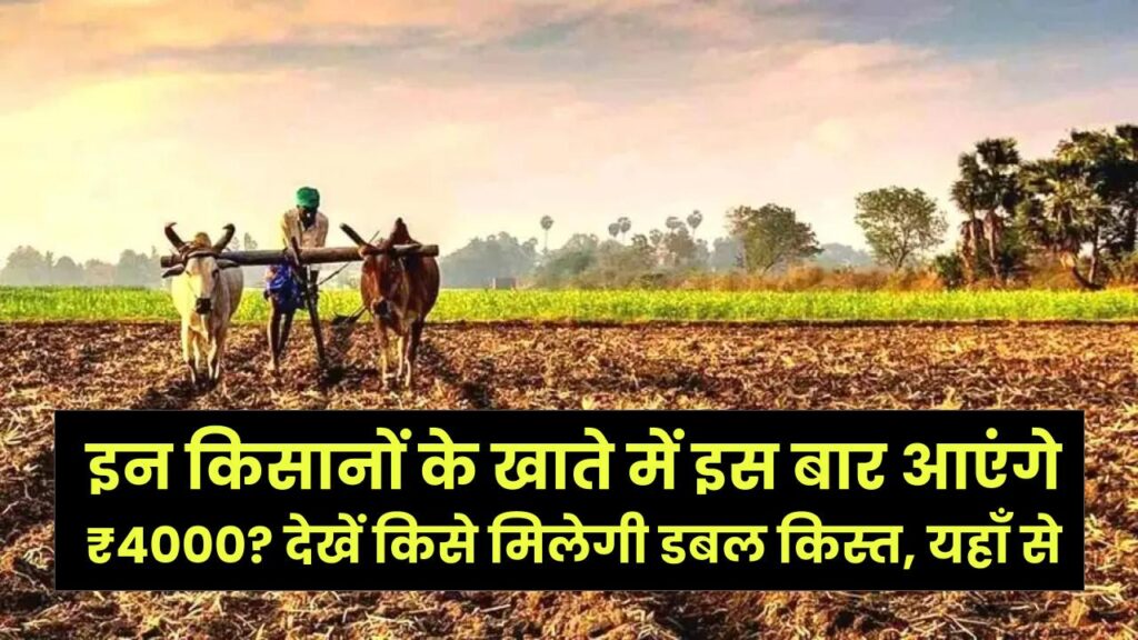 PM Kisan Alert: इन किसानों के खाते में इस बार आएंगे ₹4000? देखें किसे मिलेगी डबल किस्त, यहाँ से 1 PM Kisan Alert: इन किसानों के खाते में इस बार आएंगे ₹4000? देखें किसे मिलेगी डबल किस्त, यहाँ से